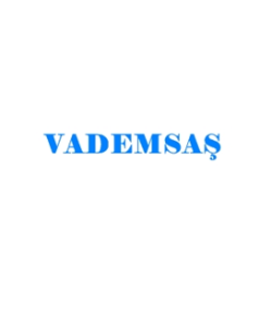 VADEMSAŞ LOGO